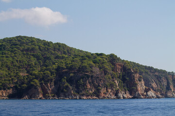 Lush Green Hillside by the Sea