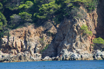 Scenic Coastal Cliffs with Lush Greenery
