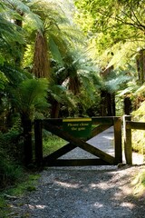 Please Close the Gate Sign on an Old Wooden Gate in the Forest – Rustic Outdoor Scene