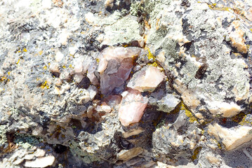 Rose Quartz Clusters in Lichen-Covered Rock, Custer State Park