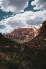 Obraz premium Zion National Park