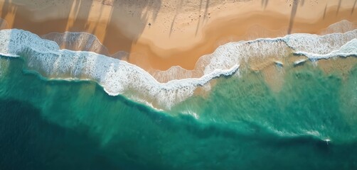 Fototapeta premium Aerial view of beach. Sand meets turquoise ocean water with wave foam. Tree shadows on sand. Summer vacation destination. Seaside resort illustration from above, idyllic tropical landscape.