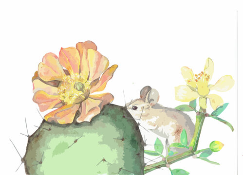 Hand-made artistic illustration, in vector format, of a mountain mouse in the middle of flowering plants, a cactus and a female jarilla (Larrea cuneifolia)