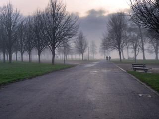 Winter town park in fog. Cool surreal look. Trees are without leaf and green lawn. Dark silhouette of a couple walking in a mist.