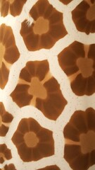 Close-Up of Giraffe Skin Pattern with Natural Brown and Beige Spots, Wildlife Texture Photograph