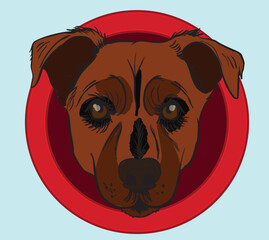 Portrait of grey dog emerging from red circle on orange background