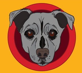 Portrait of grey dog emerging from red circle on orange background