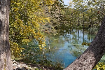 View of Vir lake on Korana river. Plitvice National Park. Croatia. Europe.