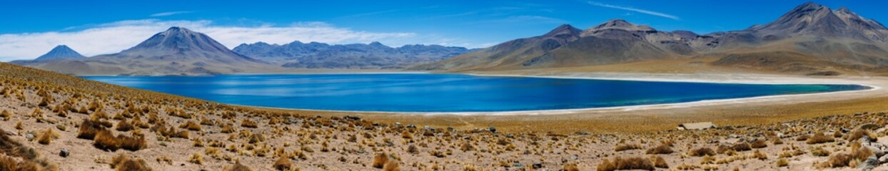 Panoramic view of the Miscanti lagoon in the atacama desert © Yggdrasill
