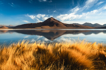 Mountain reflection on the laguna bianca in bolivia © Yggdrasill