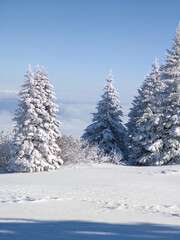 Winter Landscape of Vitosha Mountain, Bulgaria