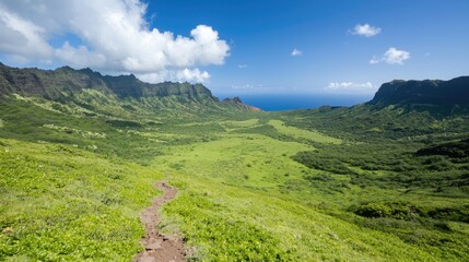 Naklejka premium Hiking trail overlooking lush valley, ocean view, sunny day; travel brochure