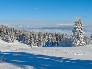 Winter Landscape of Vitosha Mountain, Bulgaria