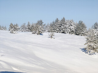 Winter Landscape of Vitosha Mountain, Bulgaria