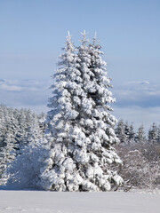Winter Landscape of Vitosha Mountain, Bulgaria