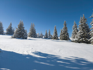 Winter Landscape of Vitosha Mountain, Bulgaria