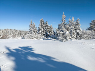 Obraz premium Winter Landscape of Vitosha Mountain, Bulgaria