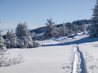 Winter Landscape of Vitosha Mountain, Bulgaria