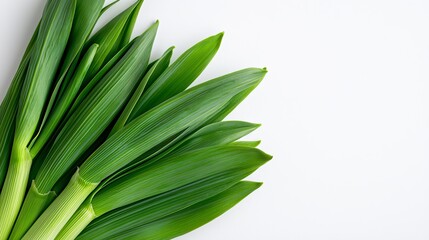 Obraz premium Minimalistic close-up of a bunch of leeks, isolated on white, showcasing crisp greens with sharp, realistic textures