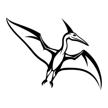 recommend clip art: Black and white pterodactyl silhouette illustration with spread wings on white background.