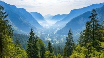 Fototapeta premium Mountain valley vista, lush forests, tranquil scene, scenic view, nature's beauty, great for backgrounds