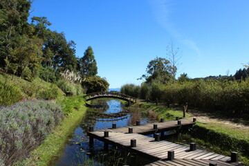 Fototapeta premium bridge in the park