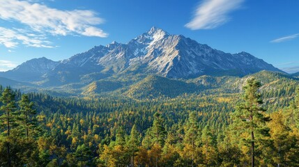 Fototapeta premium Mountain peak autumn forest view scenic