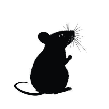 recommend clip art: mouse and cheese