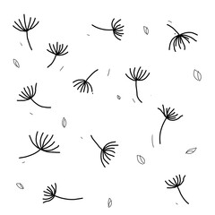 Hand drawing of flying dandelion flowers