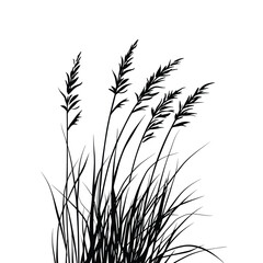 Black Silhouette of Tall Grass with Detailed Stems and Leaves