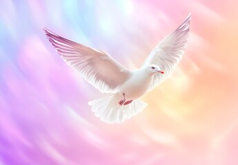 Obraz premium white dove in flight