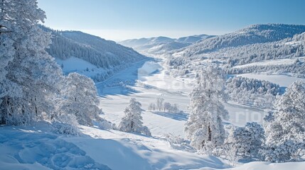 Obraz premium Scenic winter landscape with snow-covered trees and tranquil river winding through mountain valley