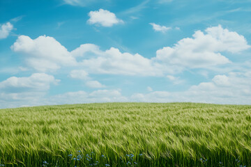 Fototapeta premium Vibrant Linseed Field Under Blue Sky: A Captivating Blend of Nature's Beauty and Agricultural Harmony