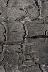 close-up macro view of wood burnt texture, black detailed surface of half burnt wood with cracked charcoal layer, dramatic abstract of dark material burning fire