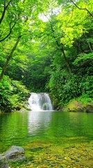 Lush waterfall in a tranquil forest. Ideal for nature lovers