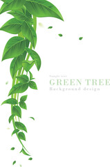 新緑の青葉が木から垂れ下がる背景のリアルイラスト｜春夏の景色