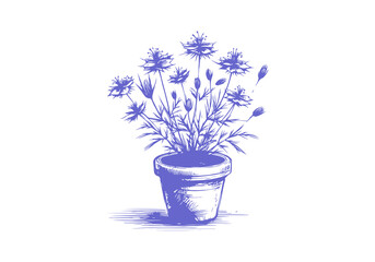 Black Seed plant hand drawn sketch vector