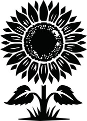 Isolated vector illustration. Sunflower plant. Black and white silhouette