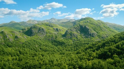 Obraz premium Mountain range landscape, green forests, bright sky