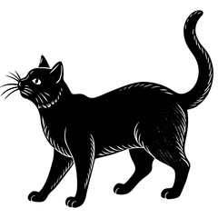 black cat vector illustration