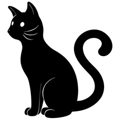 black and white cat