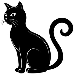 black and white cat