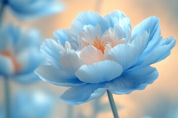 Close-up of blue and white peony petals with soft focus, dreamy atmosphere, and delicate texture in pastel colors and natural light.