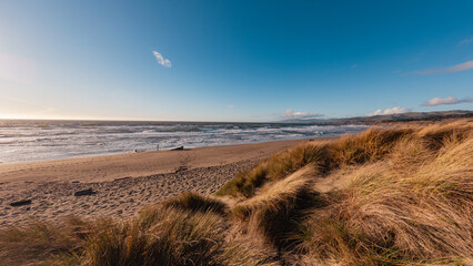Old boat rotting away on california beach