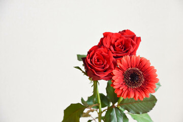 赤い薔薇とガーベラ