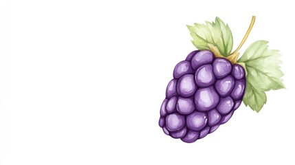 A vibrant, hand-painted illustration of a purple grape cluster with green leaves on a white background