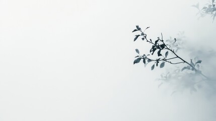 Soft and Subtle Branch Silhouette Against a Misty Background