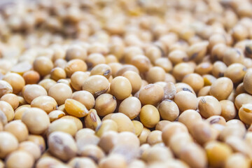 close-up of pile of soybeans