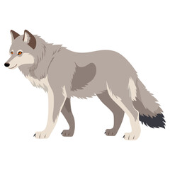 Wolf walking wolf illustration animal vector