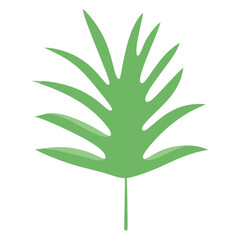Tropical leaves leaf illustration herbal vector